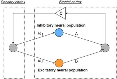Emergence of chaotic resonance controlled by extremely weak feedback signals in neural systems